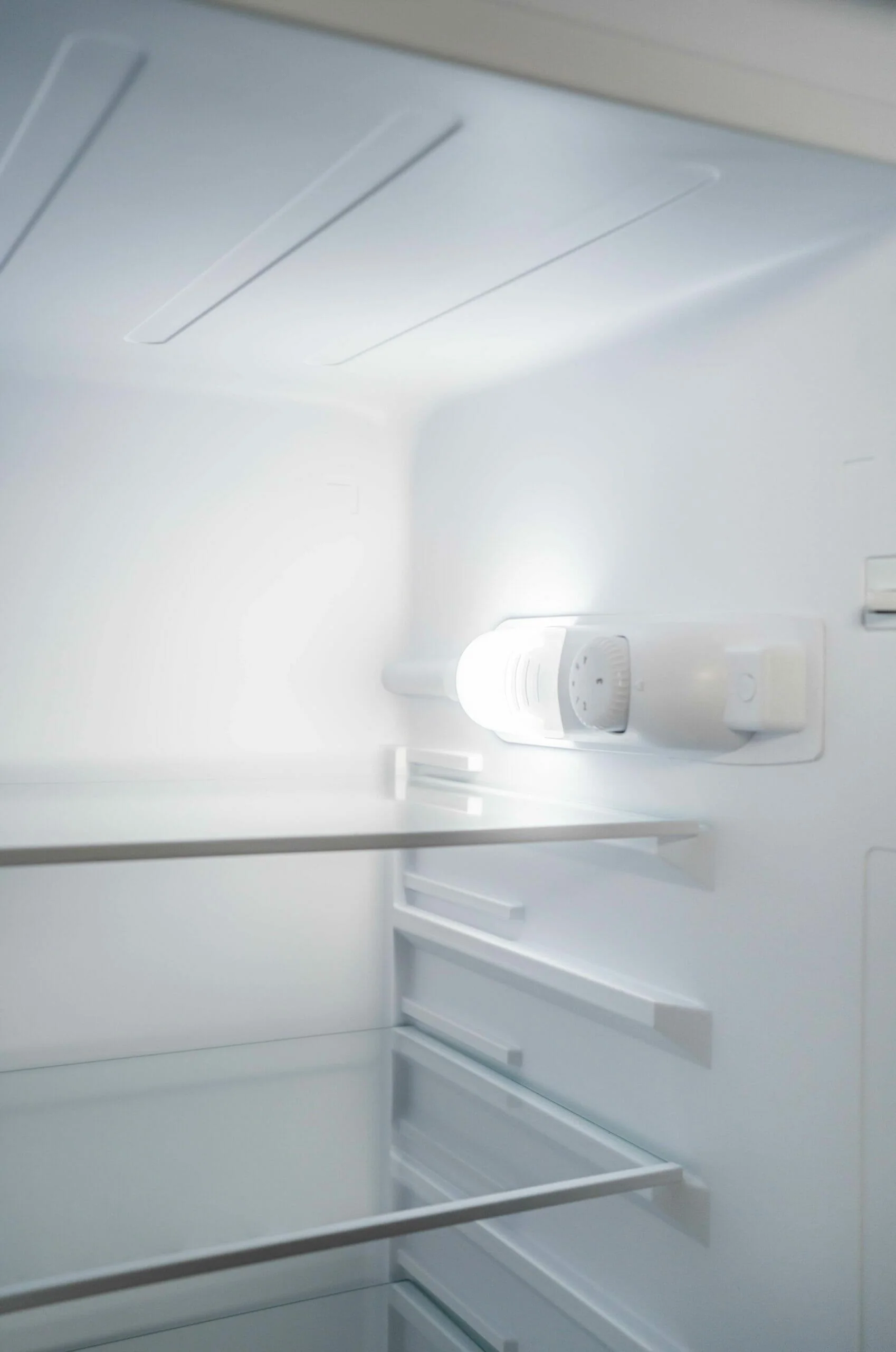 Danby DPF074V1SLDB6 Danby 7.4 Cu. Ft. Partial Defrost Fridge In Stainless Steel - Image 12