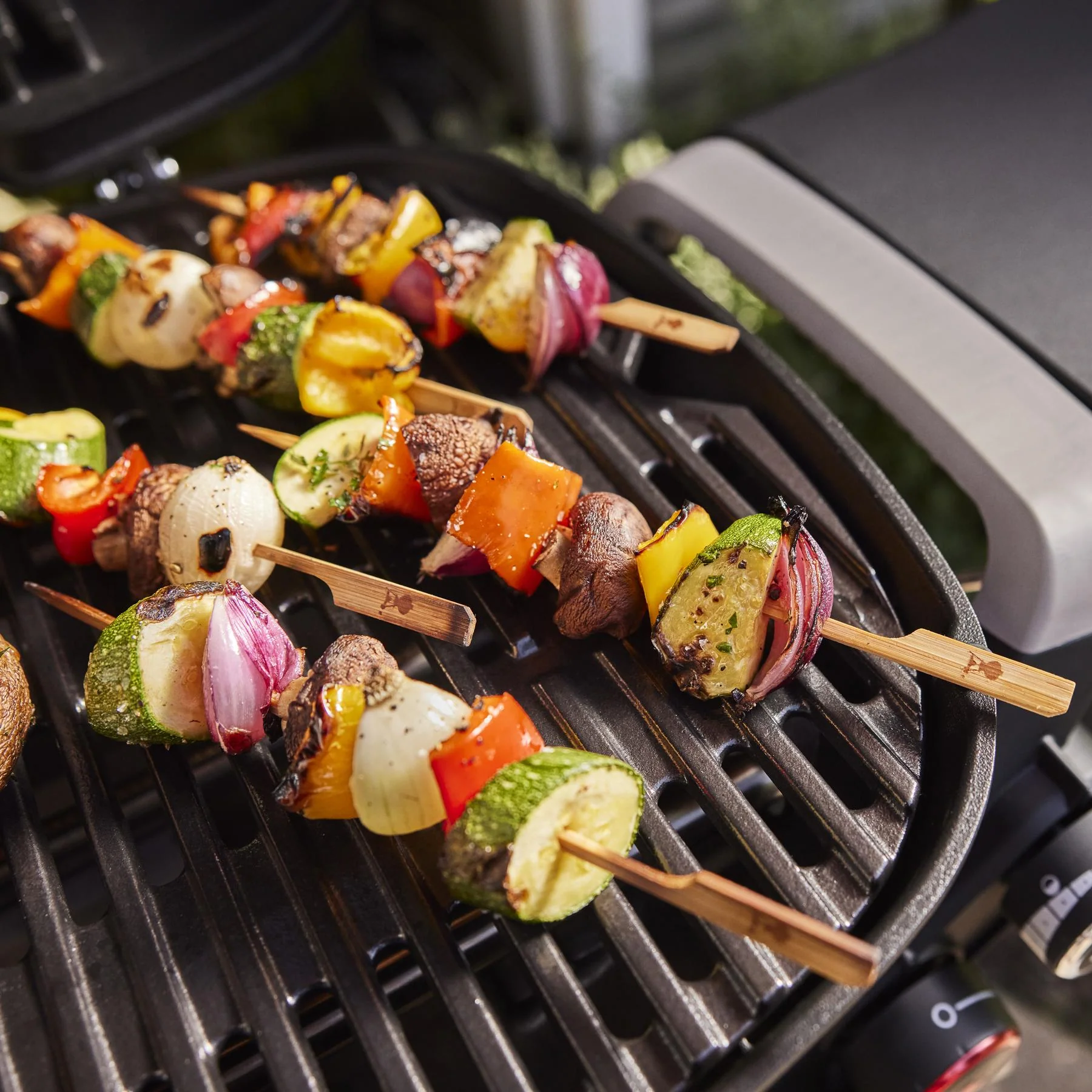 Weber 1500376 Q 2800N+ Gas Grill (Liquid Propane) - Smoke Grey - Image 2